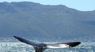 Eastern Cape accommodation