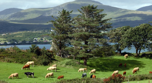 County Leitrim holidays