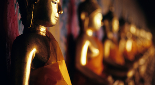 cultural tours accommodation
