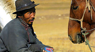 tailor made holidays