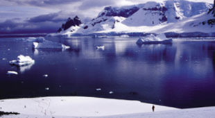 Wildlife cruising holidays