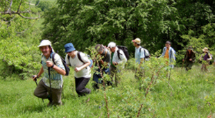 Moderate walking holidays