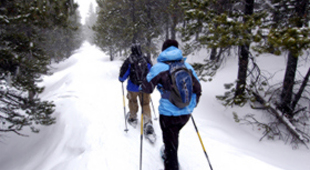 Snowshoeing holidays