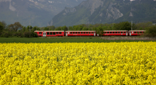 Lower carbon travel holidays
