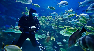 Adventurous honeymoons holidays