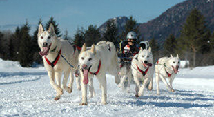 Winter activity holidays