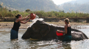 A taste of volunteering holidays
