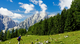 Guided & self guided walking holidays