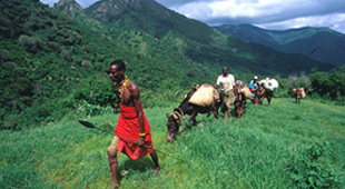 Wilderness trekking holidays