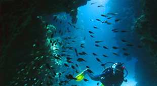 Diving courses holidays