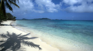 Diving in Australasia accommodation