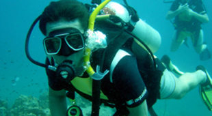 Diving in Asia accommodation