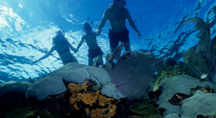 Family diving holidays