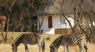 Safari bush camps & lodges holidays