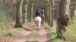 February late availability holidays