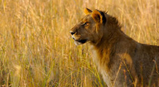 Southern Africa overland holidays