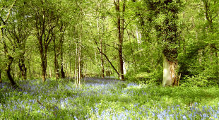 April late availability holidays