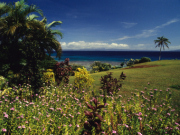 Taveuni holidays, main image