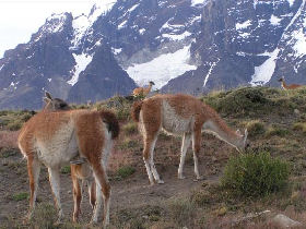 Patagonia overland tour, Villarica