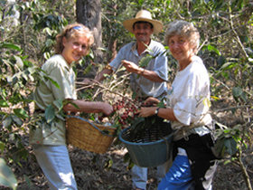 Guatemala tailor made tours