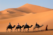 Desert