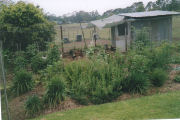 Garden, Organic farmstay in The Oaks