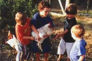 Farm activities, Self catering bungalows in Western Australia
