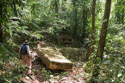Jungle tours, Eco lodge in Guatemala