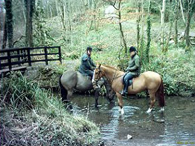 Horse riding, Self catering cottage in Northern Island