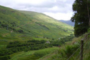 Scenic paths, Scottish highland log cabins