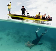 Snorkelling, Dive centre in Zanzibar
