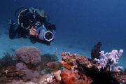 Diving photography, Dive centre in Zanzibar