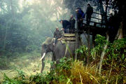 Elephant jungle tours, Jungle lodge and camp in Nepal