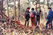 Jungle walks with experts, Jungle lodge and camp in Nepal