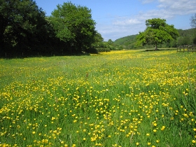 Tamar Valley accommodation, bed and breakfast in Cornwall, England