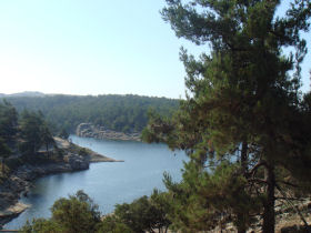 Forests and lakes