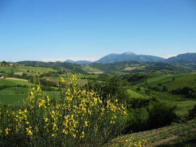 Le Marche accommodation in Italy