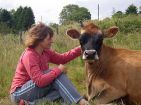 Scottish Highlands luxury self catering accommodation