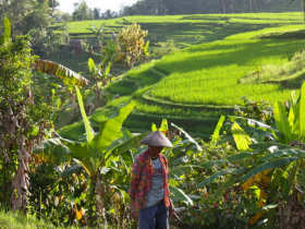 Bali eco bungalows in Indonesia