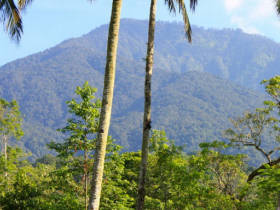 Bali eco bungalows in Indonesia