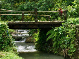 Bali eco bungalows in Indonesia