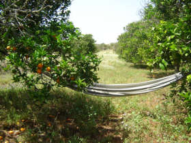 Algarve rural accommodation in Portugal