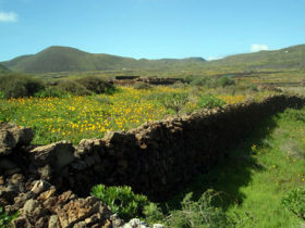 Lanzarote rural self catering accommodation, Canary Islands