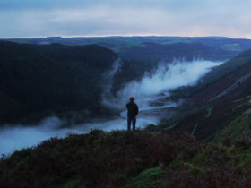 Vegetarian bed & breakfast in West Wales 