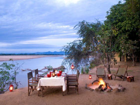 South Luangwa safari in Zambia 