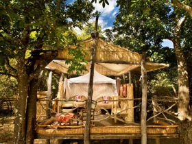 South Luangwa safari in Zambia 