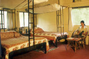 Bedroom, Jungle lodge in Nepal