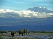 Africa & Middle East holidays, main image