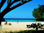 Port Antonio hotel, birdwatching