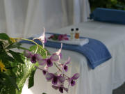 Port Antonio hotel, birdwatching